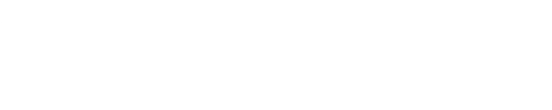 Salsnes Filter